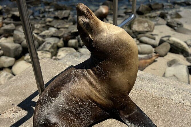 Guided Historic La Jolla Village Walking Tour - What You Can Expect at Each Stop