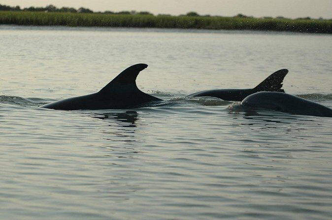 Guided Historical Bus and Boat Cruise Tour in Beaufort - Authentic Traveler Feedback