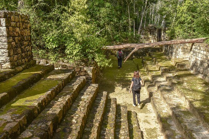Guided historical tours at the Mayan cities! - Reviews and Real Traveler Insights