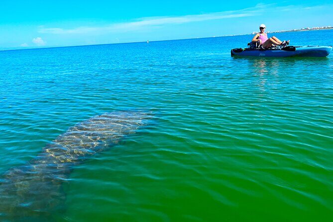 Guided Hobie Kayak EcoTour: Premium Eco Experience Bonita Springs - Key Points