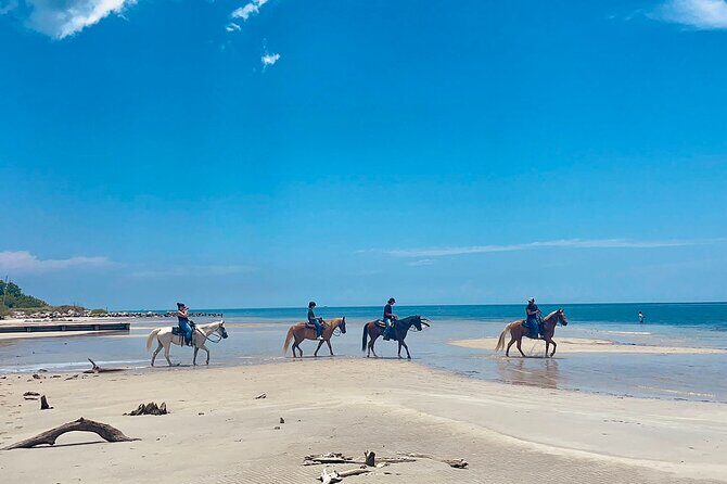 Guided Horseback Riding on The Pristine Waters of Miami Florida - Key Points