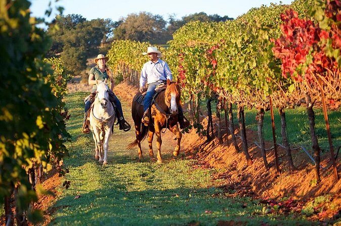 Guided Horseback Tour only 30 mins from Sedona. - Final Thoughts
