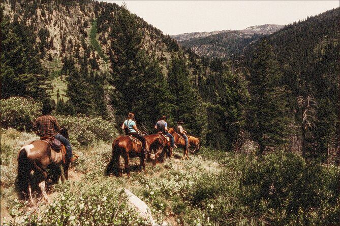 Guided Horseback Trail Rides - The Practical Details