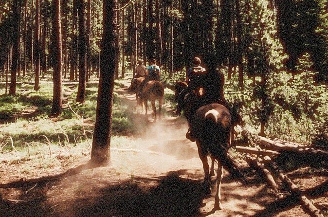 Guided Horseback Trail Rides - Real Traveler Insights