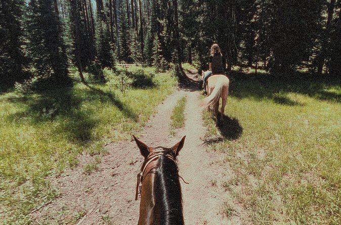 Guided Horseback Trail Rides - The Sum Up
