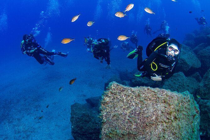 Guided Immersion from Santa Cruz de Tenerife - Why This Tour Works