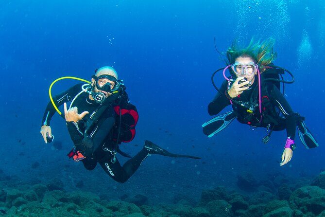 Guided Immersion from Santa Cruz de Tenerife - Who Would Love This Experience?