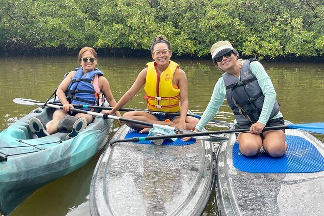 Guided Island EcoTour: CLEAR/Standard Kayak, SUP - Bonita Springs - Key Points