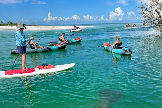 Guided Island EcoTour: CLEAR/Standard Kayak, SUP - Bonita Springs - What to Expect and What to Bring