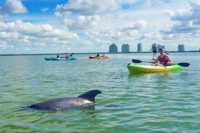 Guided Island EcoTour: CLEAR/Standard Kayak, SUP - Bonita Springs - Genuine Feedback from Travelers