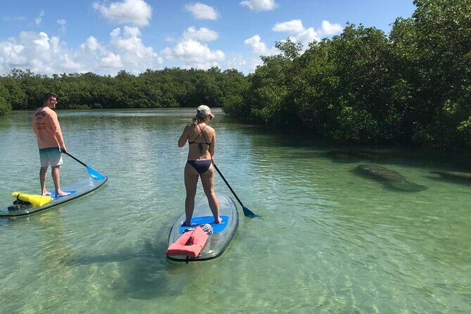 Guided Island EcoTour: CLEAR/Standard Kayak, SUP - Bonita Springs - FAQ