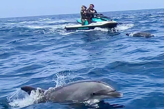 Guided Jet Ski Adventure in Two Harbors Catalina Island - Key Points