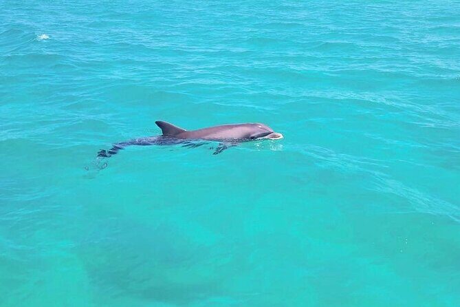 Guided Jet Ski Adventure Tour - Final Thoughts