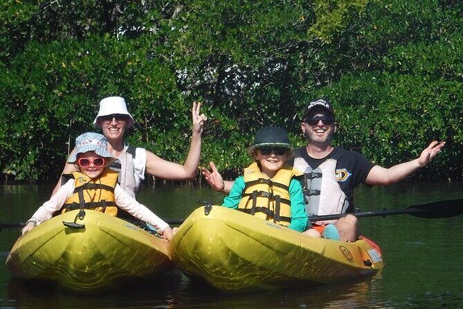 Guided Kayak Dolphin Eco Tour in Pelican Bay - Key Points