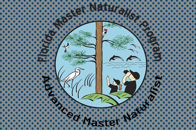 Guided Kayak Eco Tour: Real Florida Adventure - Why You Might Love this Eco Tour