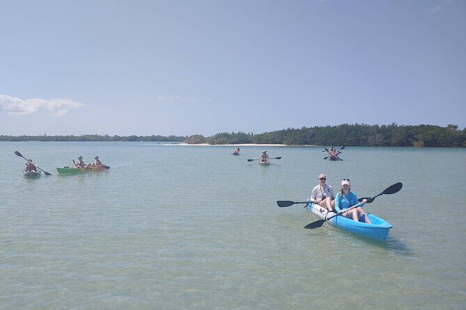 Guided Kayak EcoTour of Beautiful Shell Key Preserve - The Guide and Group Experience