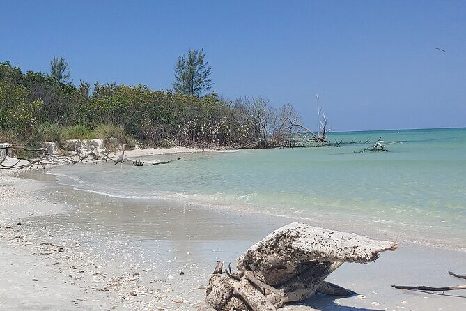 Guided Kayak EcoTour of Beautiful Shell Key Preserve - FAQ