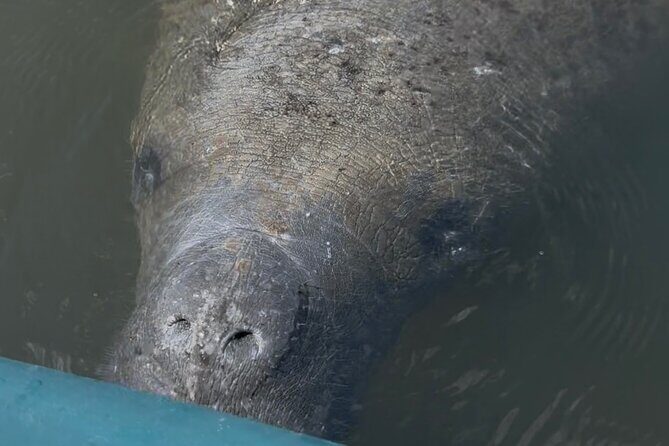 Guided Kayak Experience at EG Simmons Park - What the Tour Offers and What You Can Expect