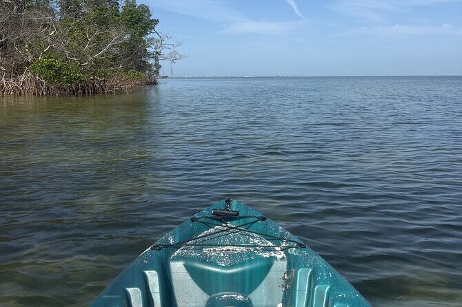 Guided Kayak Experience at EG Simmons Park - Who Should Consider This Tour?