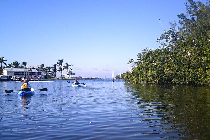 Guided Kayak Sunset Tour in Pelican Bay at Fort Myers Beach - What to Expect from the Sunset Kayak Tour
