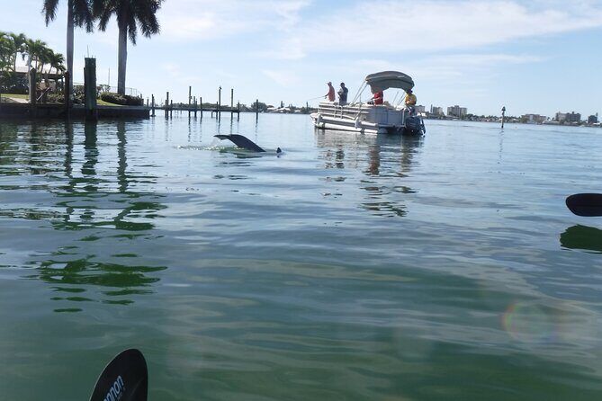 Guided Kayak Sunset Tour in Pelican Bay at Fort Myers Beach - FAQs