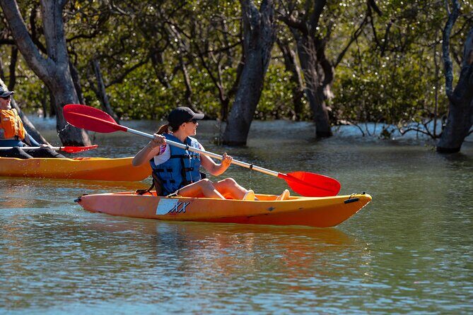 Guided Kayak Tour - What to Expect from the Guided Kayak Tour in Jervis Bay