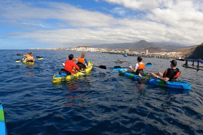 Guided Kayak Tour From Los Cristianos Beach Tenerife - Who Will Love This?