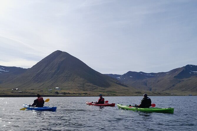 Guided kayak tour in Siglufjörður / Siglufjordur. - The Value of the Experience