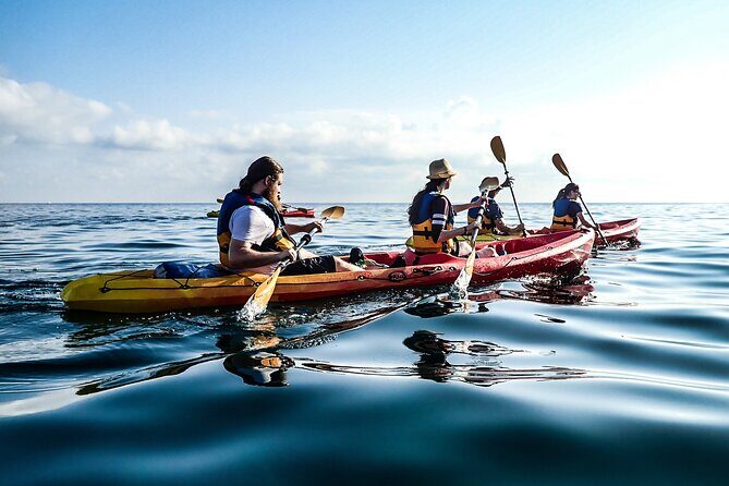 Guided Kayak Tour in St Paul's Island - Who Should Consider This Tour?