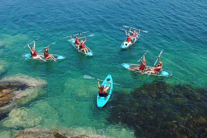 Guided Kayak Tour of Manly Cove Beaches - An In-Depth Look at the Tour Experience