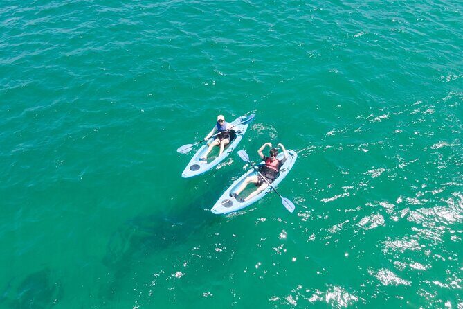 Guided Kayak Tour of Manly Cove Beaches - Final Thoughts