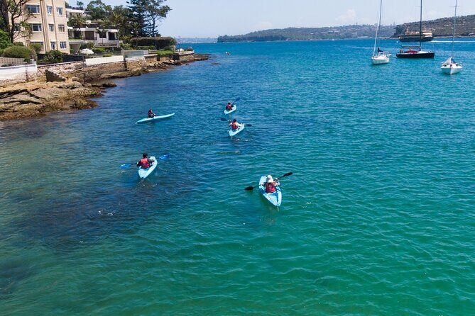 Guided Kayak Tour of Manly Cove Beaches - FAQ