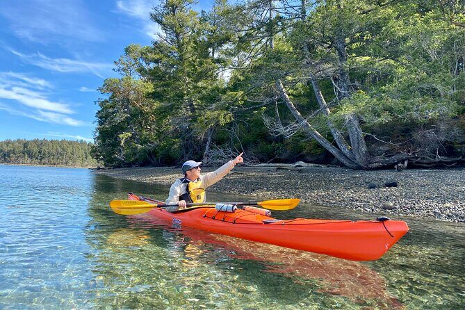 Guided Kayak Tour To Hope Island State Park - What to Expect from the Tour Experience