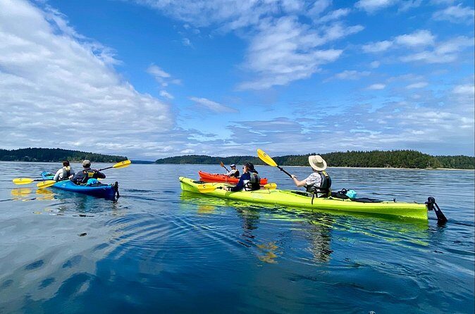 Guided Kayak Tour To Hope Island State Park - Meeting Details and Practicalities