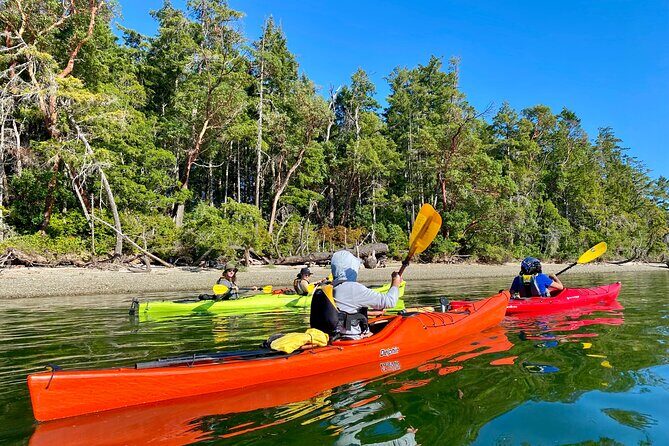Guided Kayak Tour To Hope Island State Park - What Travelers Say: Authentic Feedback