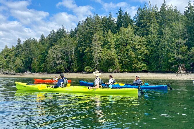 Guided Kayak Tour To Hope Island State Park - The Value of This Experience