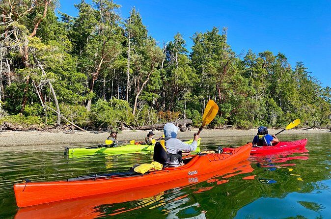 Guided Kayak Tour To Hope Island State Park - Who Would Enjoy This Tour?