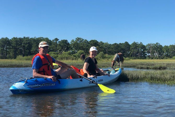 Guided Kayak Tour to see ponies, birds, dolphins and more - Key Points