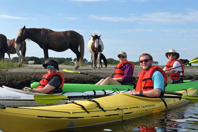 Guided Kayak Tour to see ponies, birds, dolphins and more - Practical Considerations: What to Know Before You Go