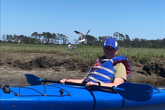 Guided Kayak Tour to see ponies, birds, dolphins and more - Who Should Consider This Tour?