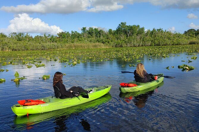Guided Kayaking Manatee Tour near Orlando - Who This Tour Is Best For