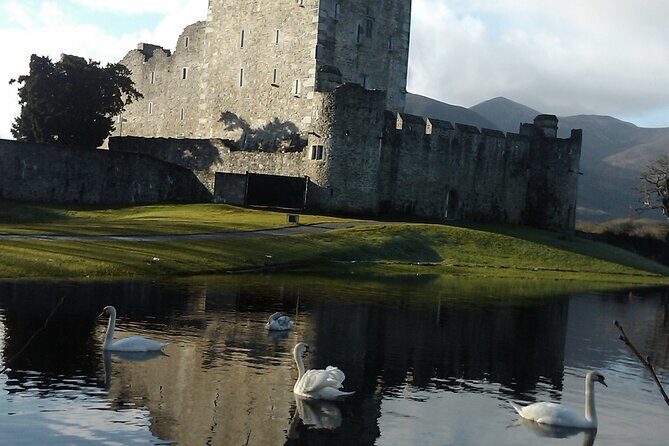 Guided Killarney National Park Walking Tour - The Value for Money