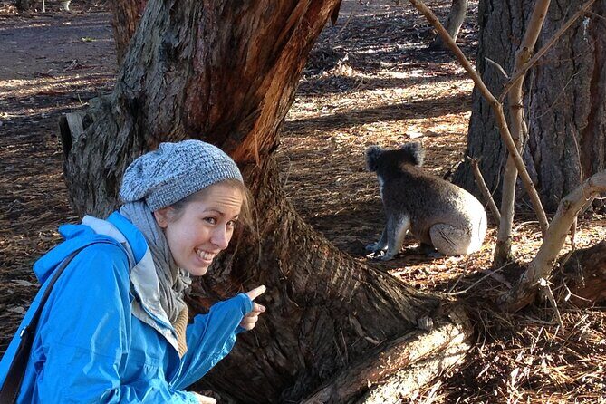Guided Koala Walk and Bushfire ecology tour - What Makes This Tour Stand Out