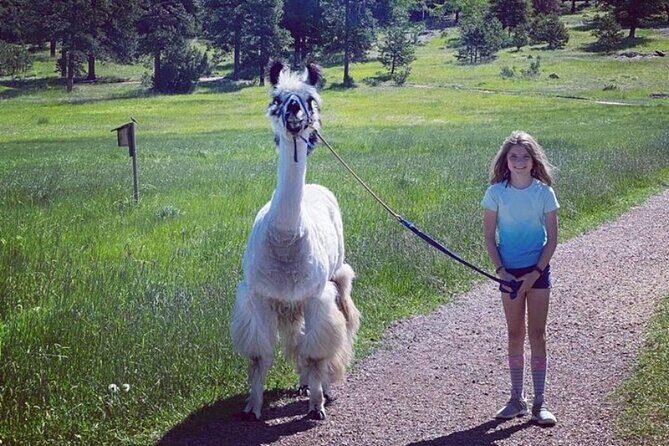 Guided Llama Hike in the Rocky Mountains - FAQs