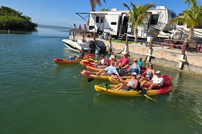 Guided Mangrove Eco Tours Kayak or Paddleboard Adventure - Why This Tour Works Well