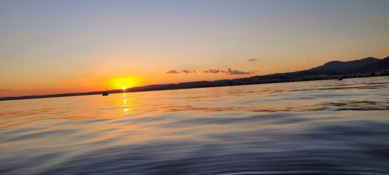 Guided Marine Life Excursion in Estepona - Pricing and Value