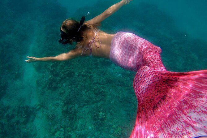 Guided Mermaid Snorkel Experience, Free Videos in West Palm Beach - Frequently Asked Questions