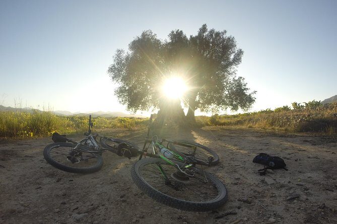 Guided mountain bike route - "Pata Negra" Tour - An In-Depth Look at the "Pata Negra" Mountain Bike Tour