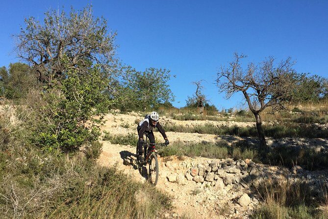 Guided mountain bike route - "Pata Negra" Tour - The Drawbacks to Consider