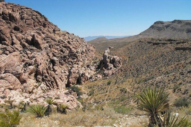 Guided Mountain Bike Tour of Mustang Trail in Red Rock Canyon - The Trail and the Landscape